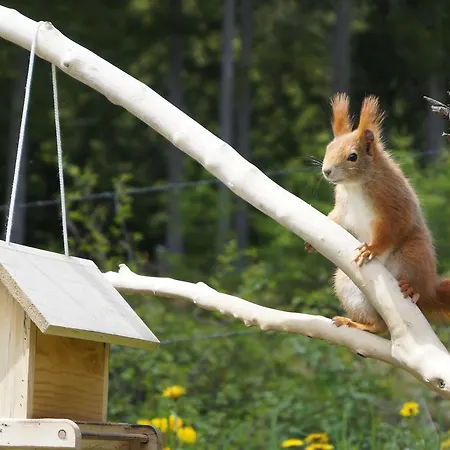 Apartman Haus Latschenheim Ramsau am Dachstein