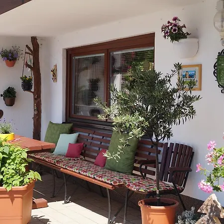 Haus Latschenheim 拉姆绍达赫斯坦