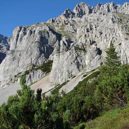 Haus Latschenheim ラムサウ・アム・ダッハシュタイン