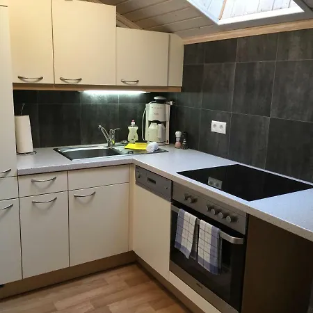 公寓 Haus Latschenheim *