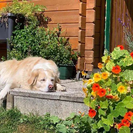 Haus Latschenheim 公寓 *