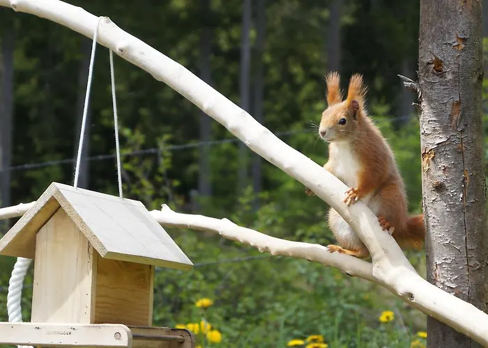 Апартаменты Haus Latschenheim Рамзау